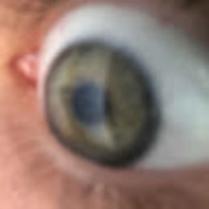 Meet your Posher, Hallie